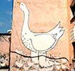 run | bird | tirana | albania | balkans (20 votes)