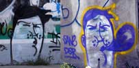 saner | dsr | mexico (4 votes)