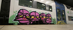 sbafe | int55 | train | various (37 votes)