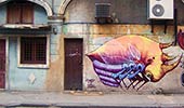 sego | cuba | various (38 votes)