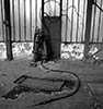 slow | budapest | hungary (12 votes)