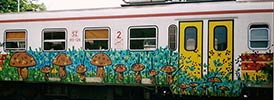 snof | mushroom | train | slovenia | balkans (26 votes)