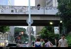 spy | reyesdelmambo | japan | action | asia (6 votes)