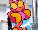 sqon | cat | girl | austria | various (14 votes)