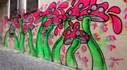 toks | egrotrip | mushroom | slovenia | balkans (22 votes)