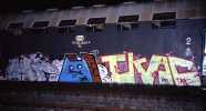 zbiok | tkac | poland (5 votes)