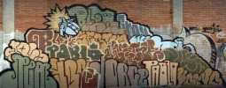 yoryo | pea | frik | vitoria | spain (2 votes)