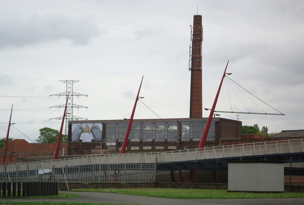 ericailcane gent belgium