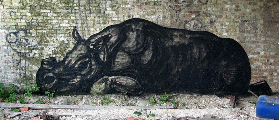  roa rhinoceros belgium