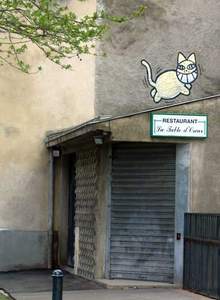  mrchat nantes roof france cat