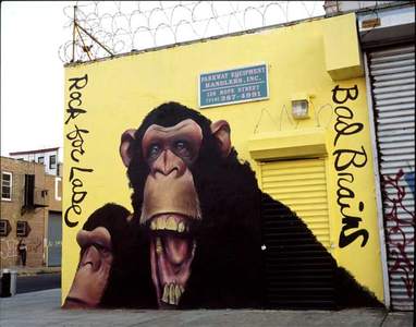  dugan brooklyn monkey nyc