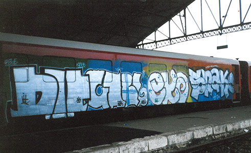  bit gabe eko snake wholecar train-bordeaux