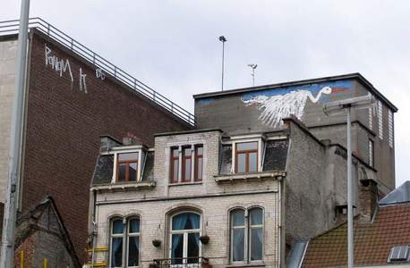  bonom bruxelles bird roof belgium