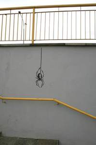  mieso spider poznan poland