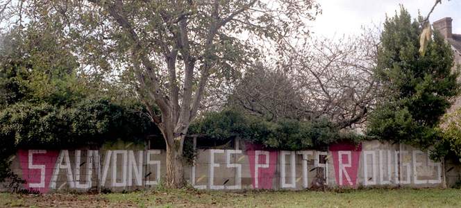  les-freres-ripoulain text-message france