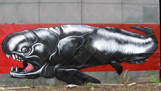  roa belgium