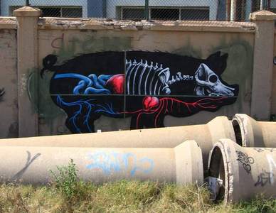  roa pig barcelona