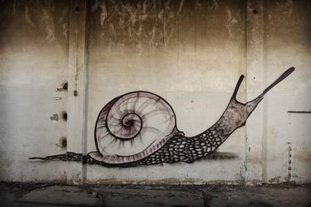  steon snail spain