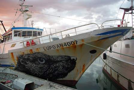  roa boat ancona italy