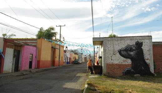  roa mexico