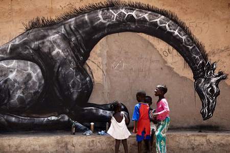  roa gambia africa