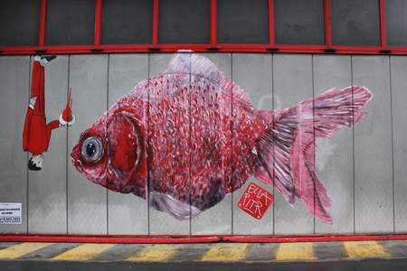  ella pitr red fish france