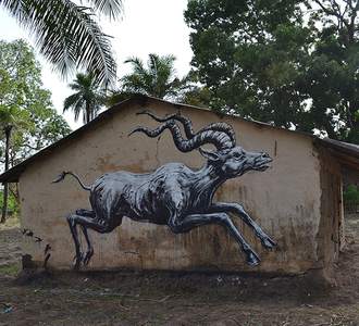  roa gambia africa