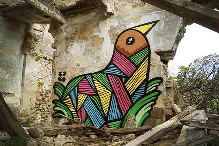  pablito-zago bird avignon france