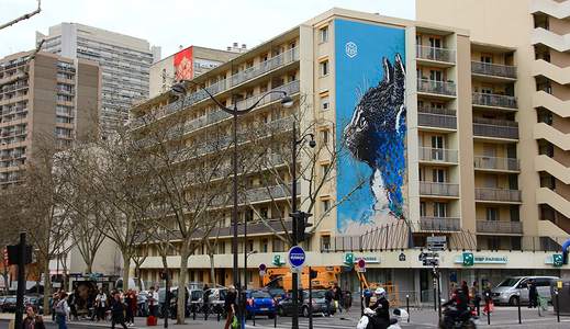  c215 big cat paris