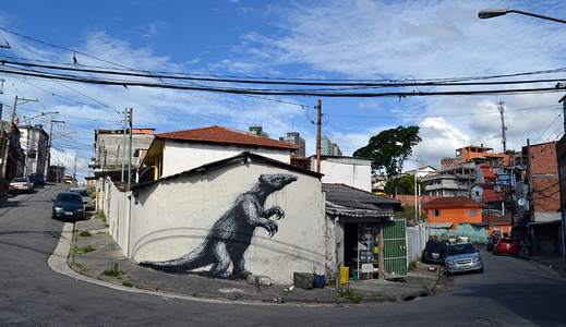 brazil saopaulo roa