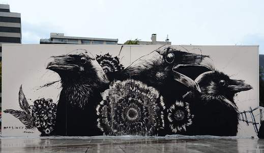 paris black bird monsieurqui