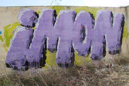 spain purple imon