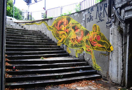 staircase bulgaria rat awer