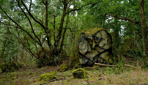 france contextual-face owl michael-beerens