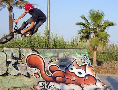  sqon skate barcelona cat