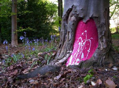  mag1c bristol pink tree ukingdom