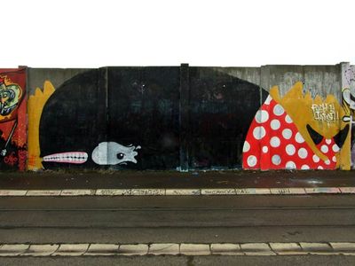  wdr okeyo whale belgrade serbia balkans