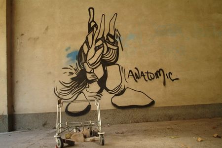  anatomic italy