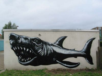  roa shark belgium