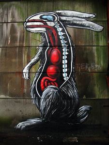  roa rabbit belgium