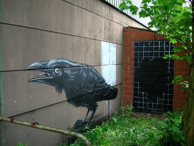  roa bird belgium