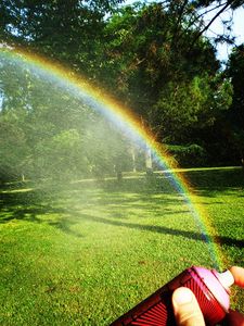  elfo rainbow italy