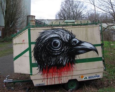  roa bird caravan belgium