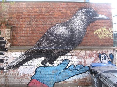  roa resto bue bird hand belgium