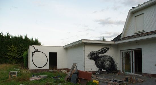  roa rabbit doel belgium