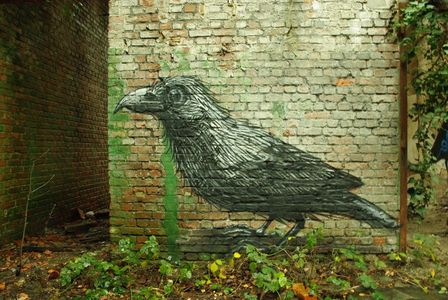  roa bird gent belgium