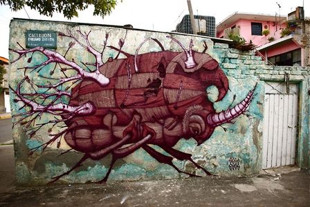  sego eyos-crew mexico