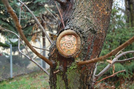  nespoon warsaw tree poland