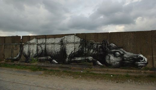  roa horse gent belgium