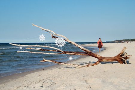  nespoon beach tree poland